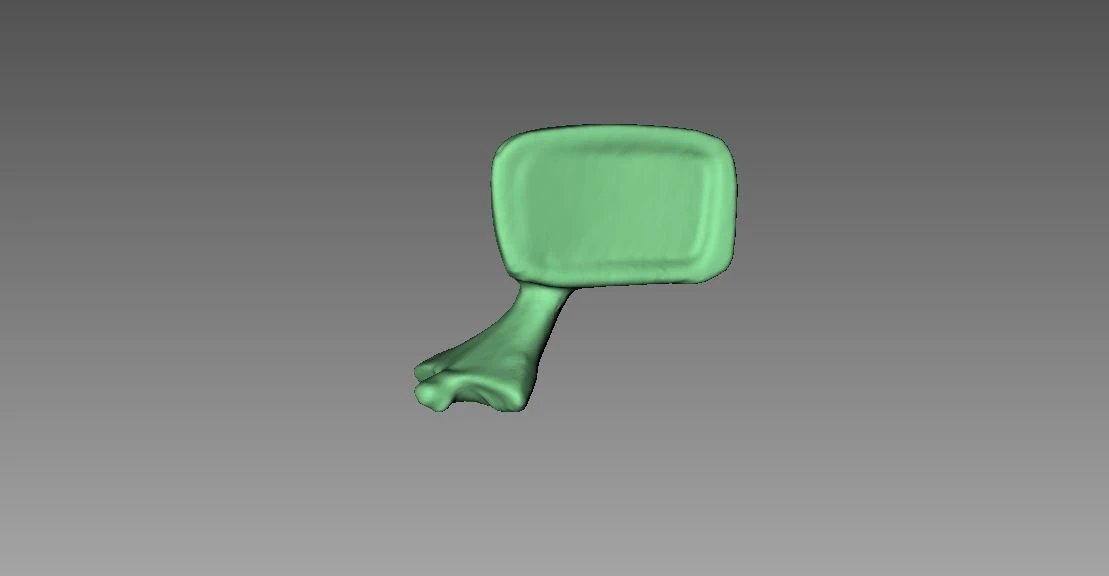 3D Scan Mesh of  A Tiny Car Mirror